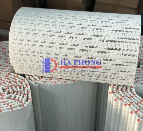 Băng tải nhựa Hong’s belt HS 100B-HD mặt hở bước 50.8mm